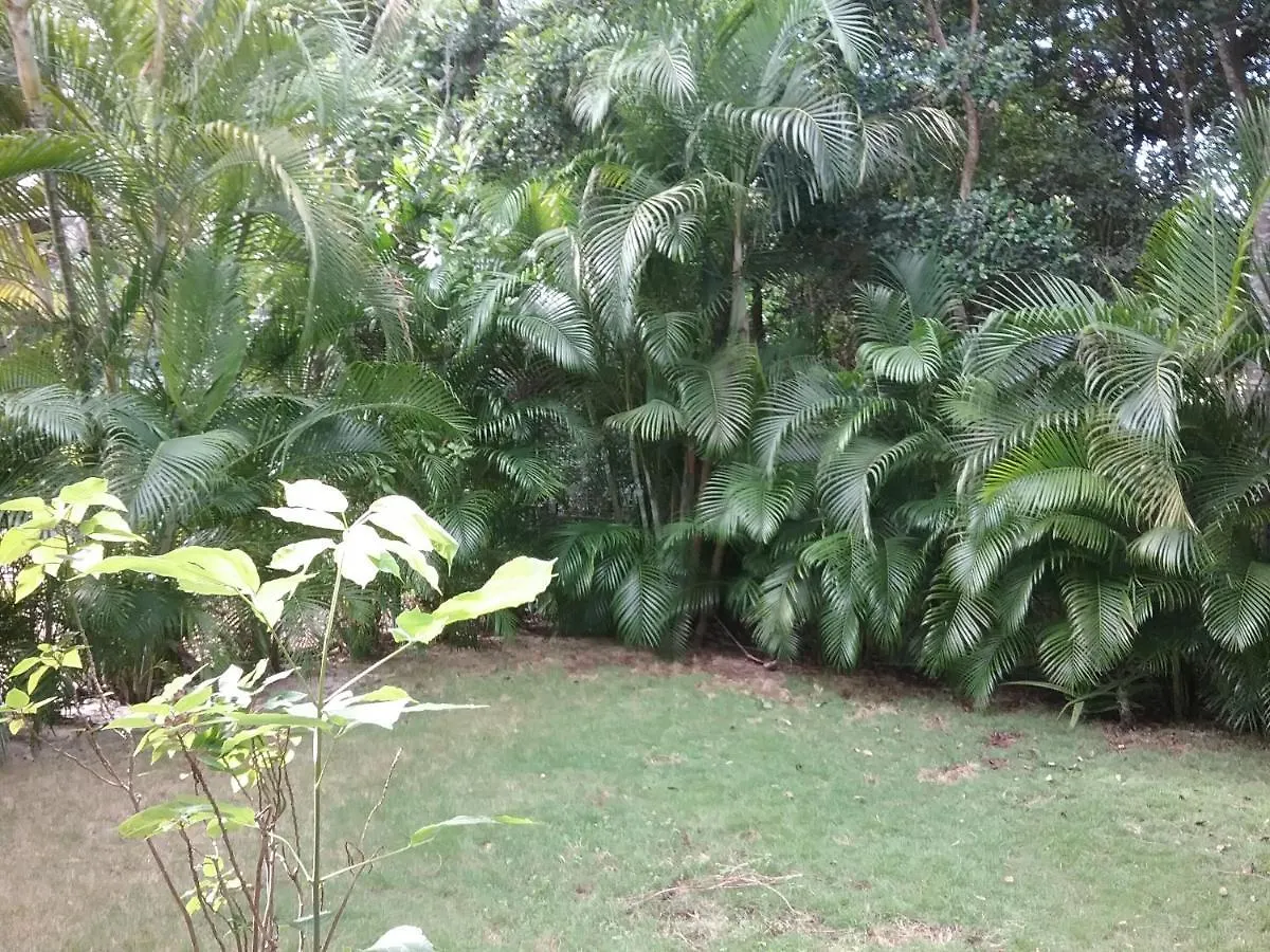신데 델 카르멘 Casa Rioja Playacar B&B 0*, 신데 델 카르멘 멕시코