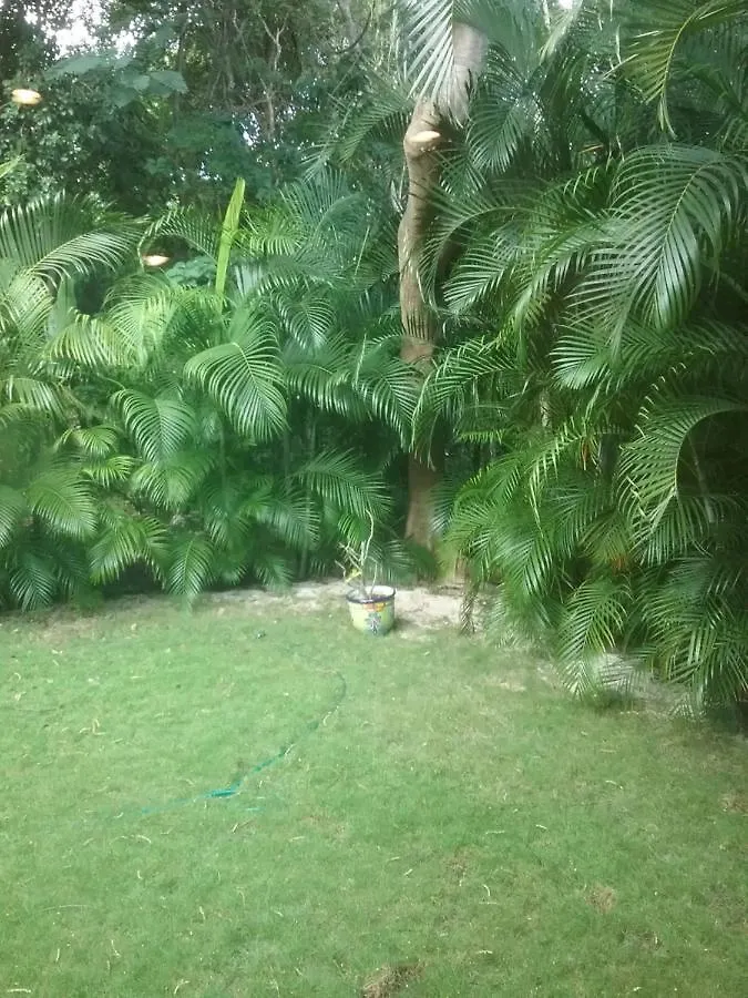 신데 델 카르멘 Casa Rioja Playacar B&B