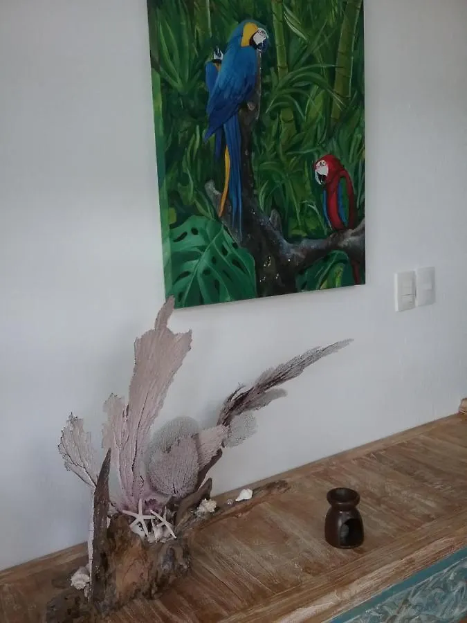 Casa Rioja Playacar Bed and Breakfast Playa del Carmen